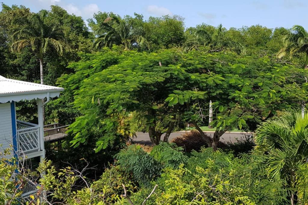 Paradisiac Lagoon Saint-Francois (Grande-Terre) Exterior foto